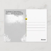 Mount Rushmore-monument - avondverlichting - Briefkaart (Achterkant)