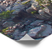 Mount Rushmore National Memorial, South Dakota Poster (Hoek)