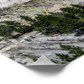 Mount Rushmore Poster (Hoek)