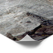 Mount Rushmore Poster (Hoek)