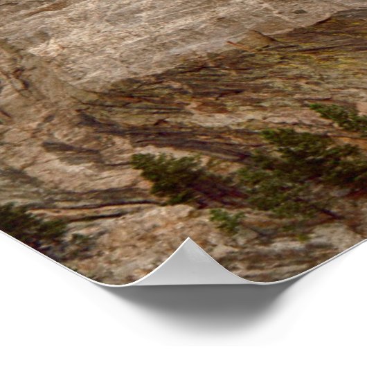 Mount Rushmore Poster (Hoek)