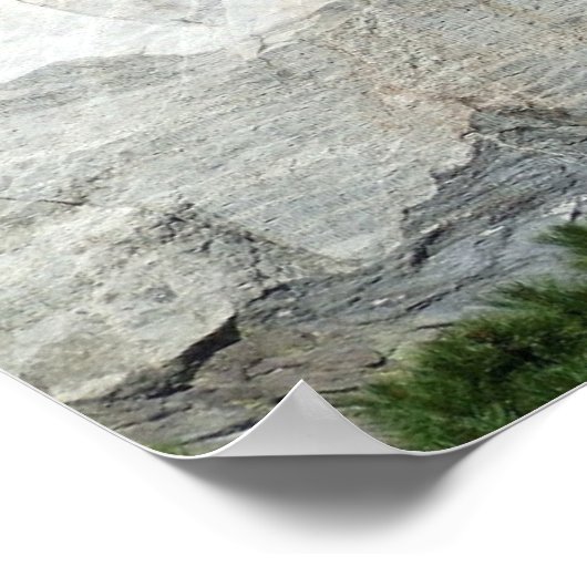 Mount Rushmore Poster (Hoek)