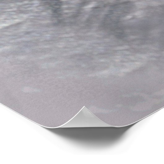 Mount Rushmore Poster (Hoek)