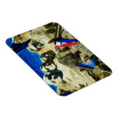 Mount Rushmore uit het Abstract parlement van de s Magneet (Rechterzijde)