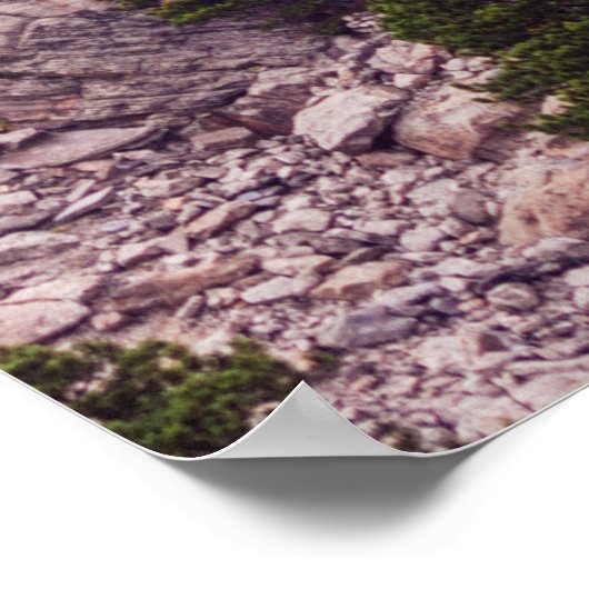 Mount Rushmore's Vier Poster (Hoek)