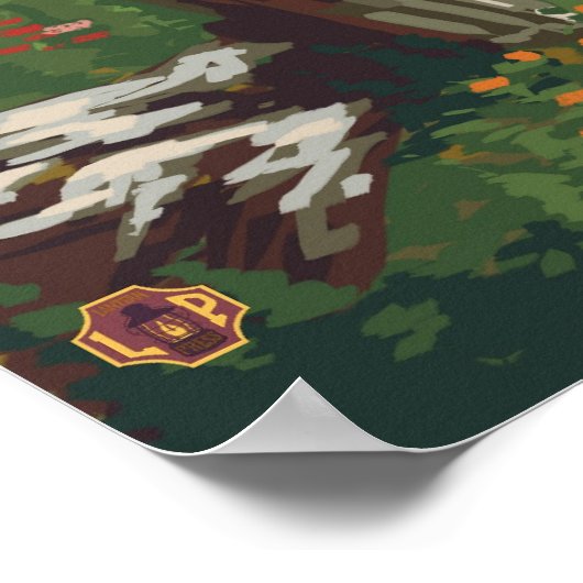 Mount Saint Helens - Spirit Lake - Travel Poster (Hoek)