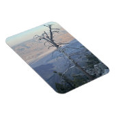 Mount San Jacinto State Park Magneet (Rechterzijde)