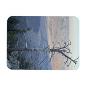 Mount San Jacinto State Park Magneet (Horizontaal)