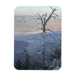 Mount San Jacinto State Park Magneet