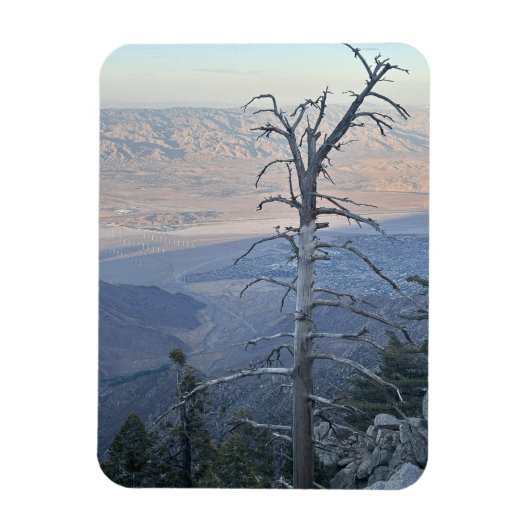 Mount San Jacinto State Park Magneet (Verticaal)