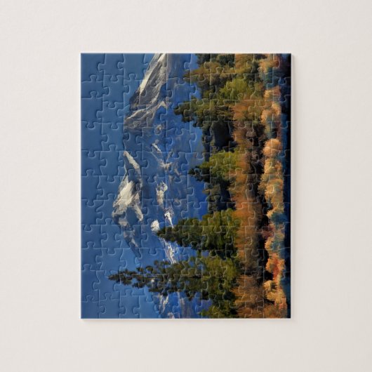 MOUNT SHASTA 1 LEGPUZZEL (Verticaal)