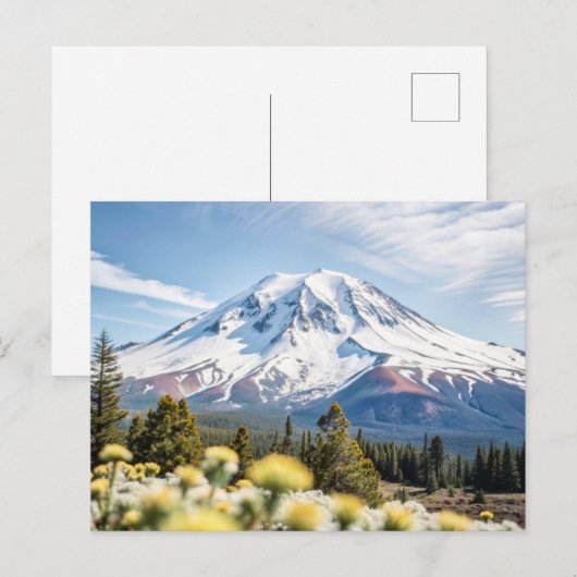 Mount Shasta California Snow Top Briefkaart (Voorkant / Achterkant)