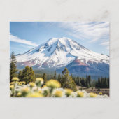 Mount Shasta California Snow Top Briefkaart (Voorkant)