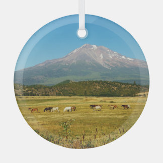 Mount Shasta Horse Herd Glas Ornament