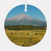Mount Shasta Horse Herd Glas Ornament (Achterkant)