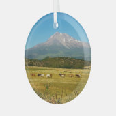 Mount Shasta Horse Herd Glas Ornament (Voorkant links)