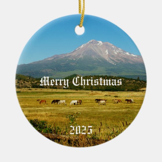 Mount Shasta Horses Kerst Ornament (Voorkant)