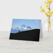 MOUNT SHASTA KAART (Gele Bloem)