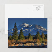 MOUNT SHASTA - SCHILDERIJ BRIEFKAART (Voorkant / Achterkant)