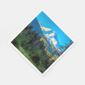 MOUNT SHASTA SERVET (Hoek)