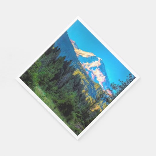 MOUNT SHASTA SERVET (Hoek)