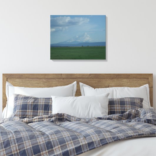 Mount Shasta Weerbarstige Bruid 1 Canvas Afdruk (Insitu (Slaapkamer))