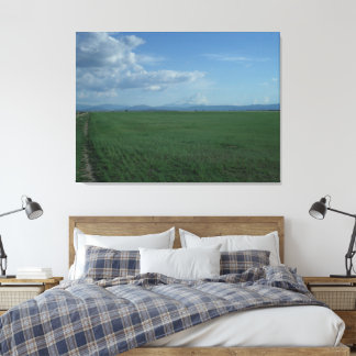 Mount Shasta Weerbarstige Bruid 3 Canvas Afdruk