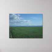 Mount Shasta Weerbarstige Bruid 3 Canvas Afdruk (Voorkant)