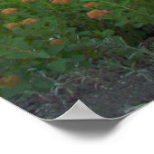 Mount Shuksan Poster (Hoek)