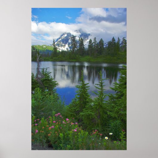 Mount Shuksan Poster (Voorkant)