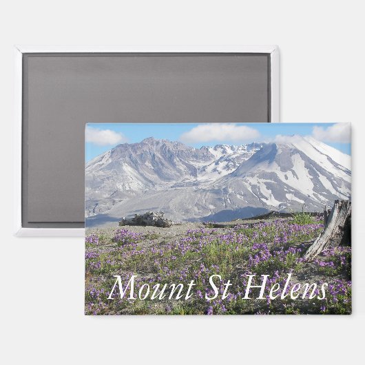 Mount St Helens Wildflower Landschap Magneet (Voorkant / Achterkant)