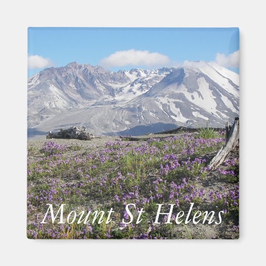 Mount St Helens Wildflower Landschap Magneet (Voorkant)