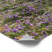 Mount St Helens Wildflowers Fotografisch Poster (Hoek)