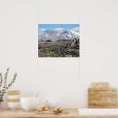 Mount St Helens Wildflowers Fotografisch Poster (Keuken)