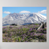 Mount St Helens Wildflowers Fotografisch Poster (Voorkant)