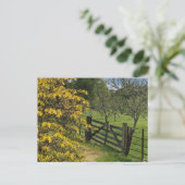 Mount Stuart boomgaard & hek Isle of Bute, Schotla Briefkaart (Staand voorkant)