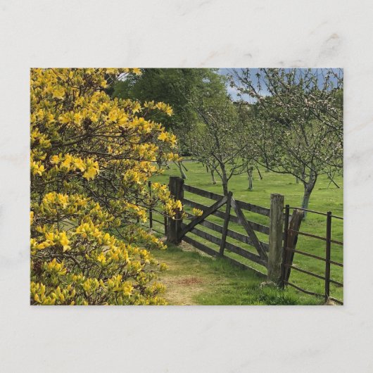 Mount Stuart boomgaard & hek Isle of Bute, Schotla Briefkaart (Voorkant)