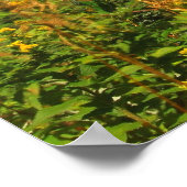 Mount Sunapee Lake Sunapee Uitzicht Poster (Hoek)