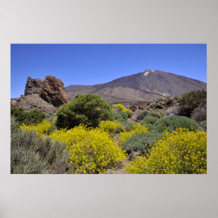 Mount Teide op Canarische eilanden Poster