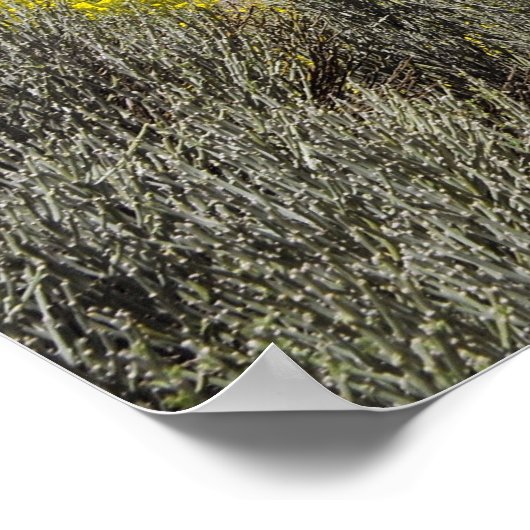 Mount Teide op Canarische eilanden Poster (Hoek)