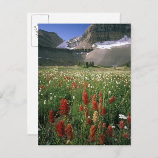 MOUNT TIMPANOGOS WILDERNESS, UT, ONS, BRIEFKAART (Voorkant / Achterkant)
