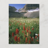 MOUNT TIMPANOGOS WILDERNESS, UT, ONS, BRIEFKAART (Voorkant)
