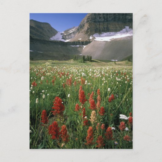 MOUNT TIMPANOGOS WILDERNESS, UT, ONS, BRIEFKAART (Voorkant)