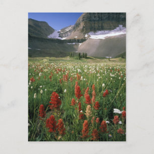 MOUNT TIMPANOGOS WILDERNESS, UT, ONS, BRIEFKAART