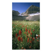 MOUNT TIMPANOGOS WILDERNESS, UT, ONS, FOTO AFDRUK (Voorkant)
