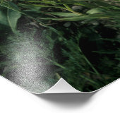 MOUNT TIMPANOGOS WILDERNESS, UT, ONS, FOTO AFDRUK (Hoek)