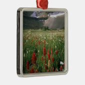 MOUNT TIMPANOGOS WILDERNESS, UT, ONS, METALEN ORNAMENT (Rechts)