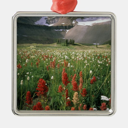 MOUNT TIMPANOGOS WILDERNESS, UT, ONS, METALEN ORNAMENT (Voorkant)