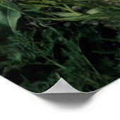 MOUNT TIMPANOGOS WILDERNESS, UT, ONS, POSTER (Hoek)