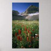 MOUNT TIMPANOGOS WILDERNESS, UT, ONS, POSTER (Voorkant)